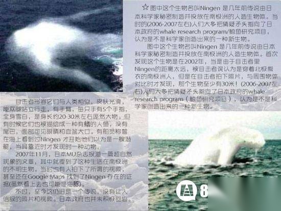 恐怖历史图片