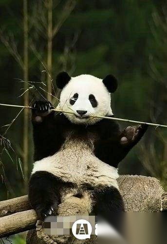 中国历史图片