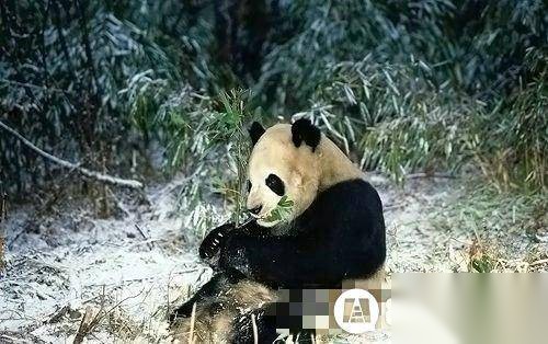 中国历史图片