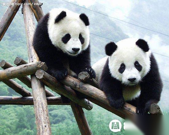 中国历史图片