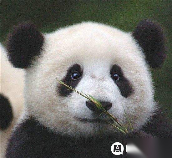 中国历史图片