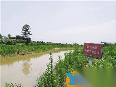 姐妹历史图片