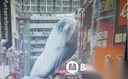 河南历史图片