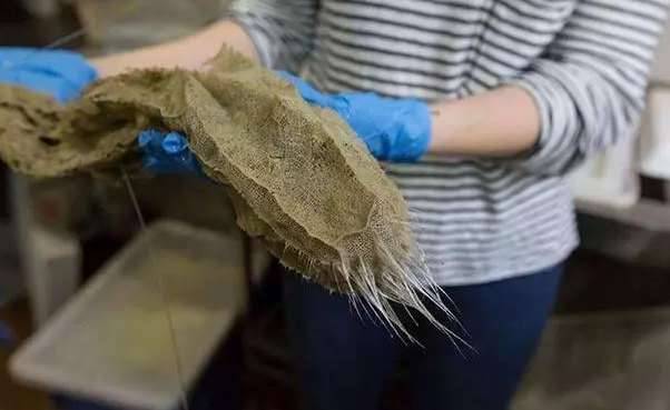 盘点世界上最奇特的深海生物历史图片