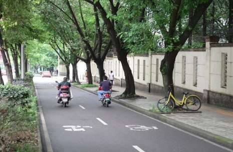 骑ofo被撞摘右肾是怎么回事？ofo需要赔偿吗？历史图片