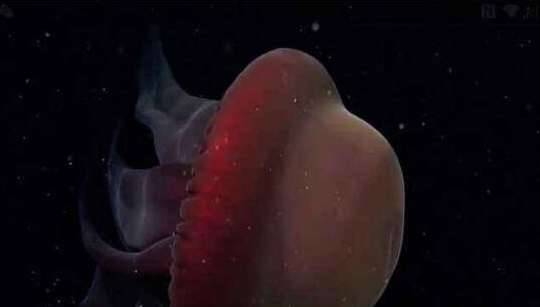 世界历史图片