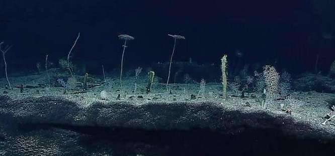 最深的海沟历史图片