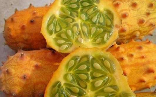 世界上最奇葩的十大水果历史图片