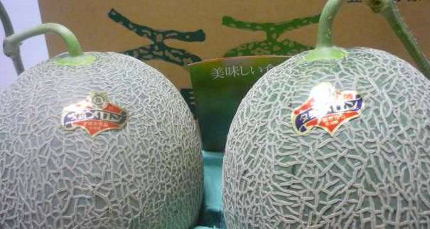 最贵的西瓜历史图片