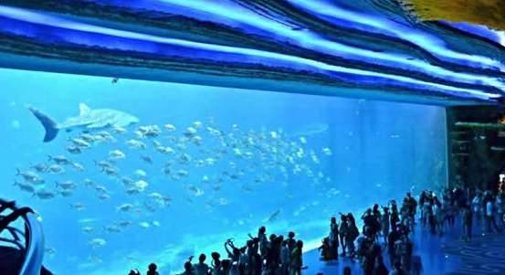 最大的水族馆历史图片