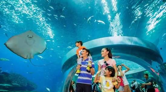 最大的水族馆历史图片