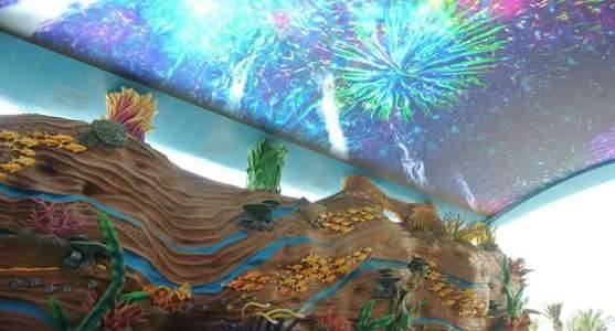 最大的水族馆历史图片