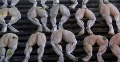 世界上最奇怪的十大食物 肉食当真是吃不下历史图片
