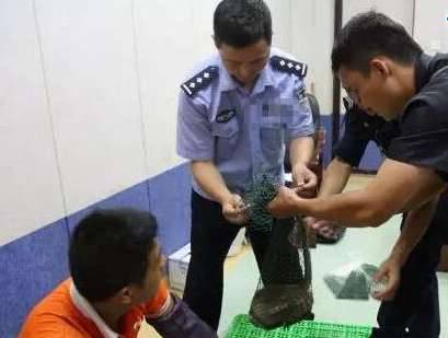 最珍稀的猴子历史图片