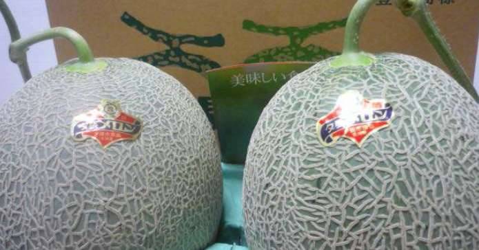 世界历史图片