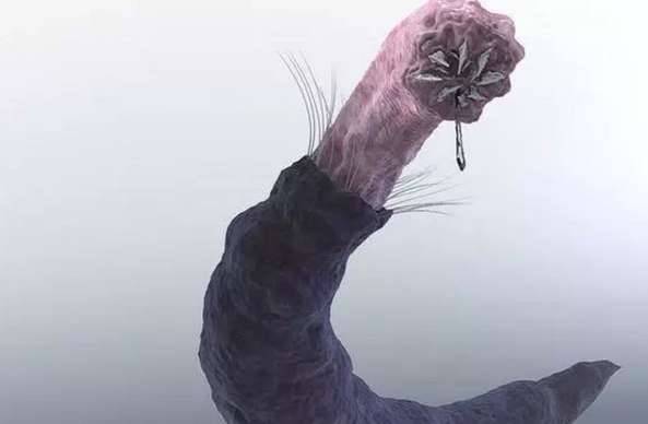 蒙古历史图片