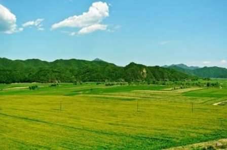 沙漠历史图片