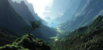 地球历史图片