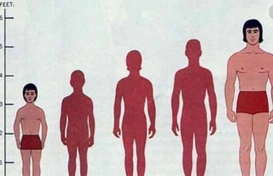 人类历史图片