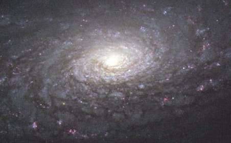 向日葵星系历史图片
