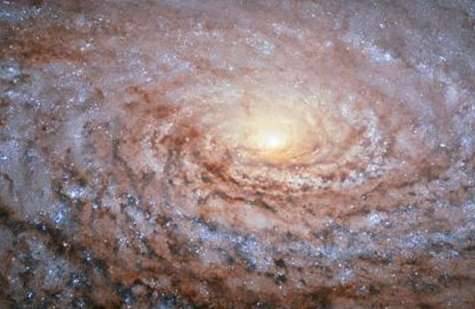 向日葵星系历史图片