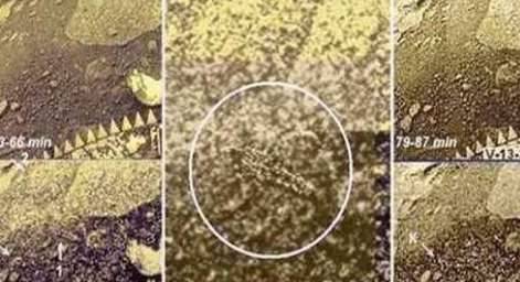 金星表面发现城市废墟 证明了金星是有过文明存在的历史图片