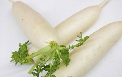 冬天吃什么水果好?冬天适合吃什么蔬菜?历史图片