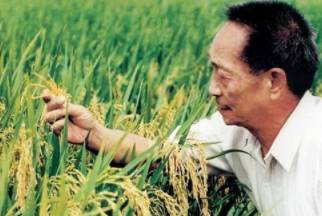 袁隆平历史图片