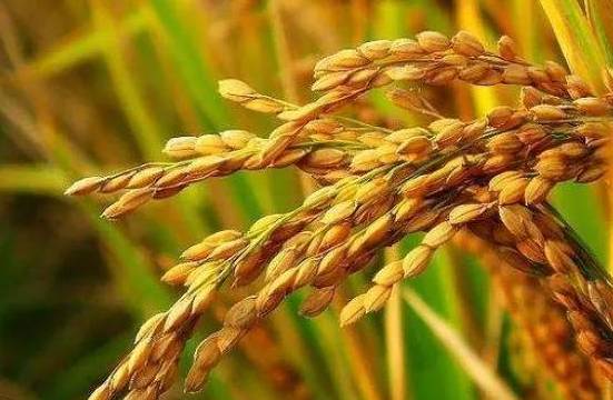 二十四节气历史图片