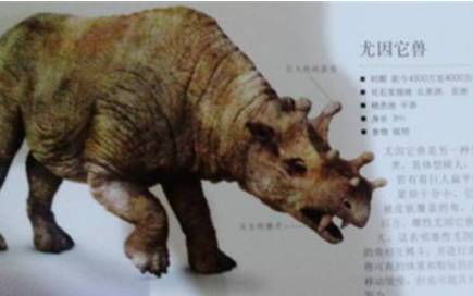 尤因它兽历史图片