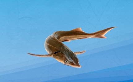 世界历史图片