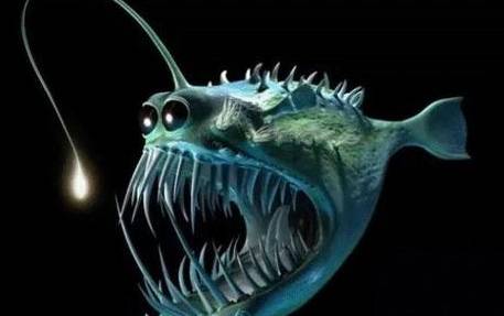 盘点十大长得很随意的海洋生物历史图片