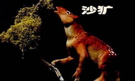 沙犷历史图片