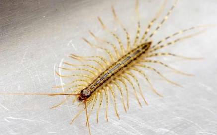 世界历史图片