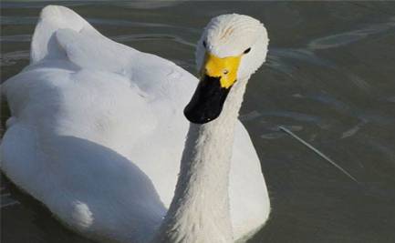 世界历史图片