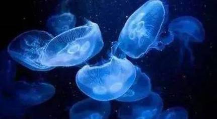 自然界历史图片