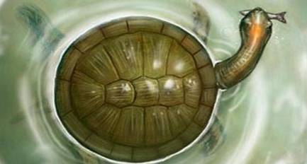 古代历史图片
