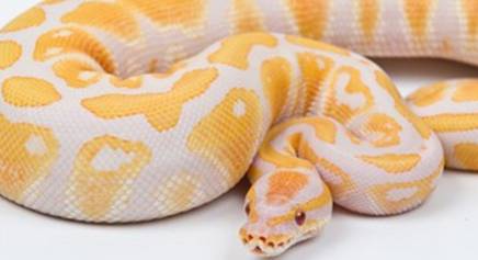 自然界历史图片