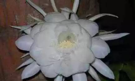 自然界历史图片