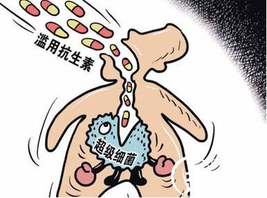 十大历史图片