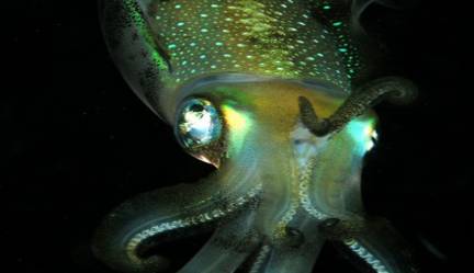 自然界历史图片