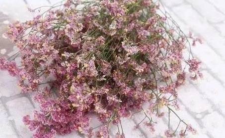 鲜花保养有哪些方法?在花瓶中放入什么水？历史图片