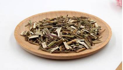 荆芥历史图片