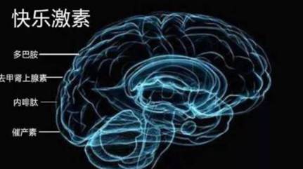 多巴胺历史图片