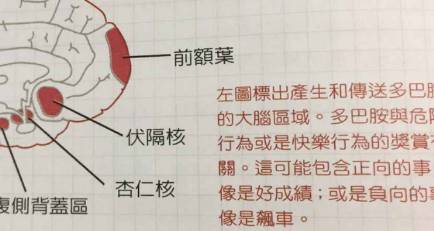 多巴胺历史图片