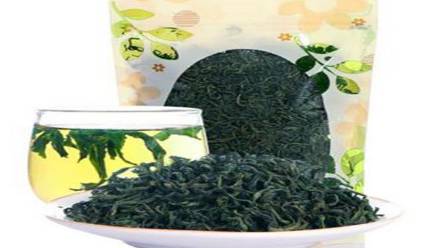 白鼓丁茶历史图片