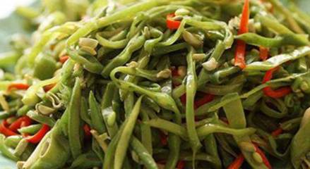 梅豆历史图片