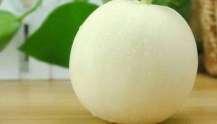 香瓜历史图片
