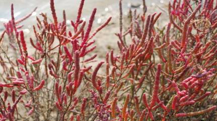 世界历史图片