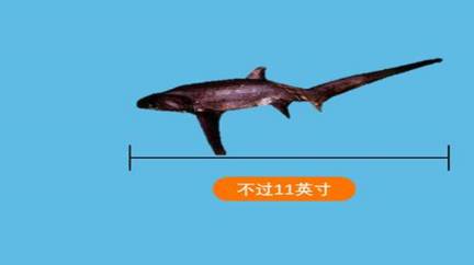 世界历史图片